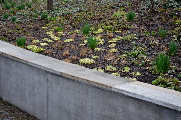 Concrete Wall Construction in Acworth