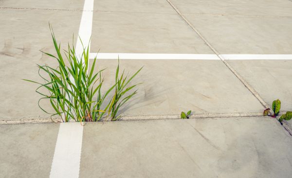 Concrete Parking Installation in Acworth